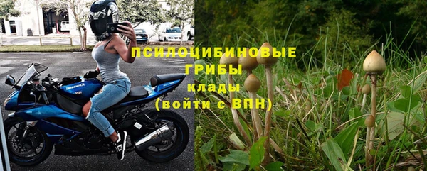 шишки Алексеевка