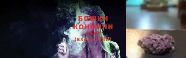 шишки Алексеевка