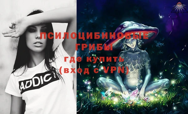 соль курить ск Алзамай