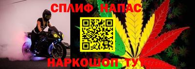 PSILOCYBIN Среднеуральск