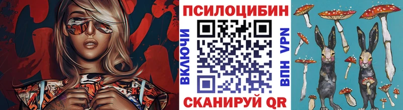 даркнет сайт Новоуральск Галлюциногенные грибы мухоморы
