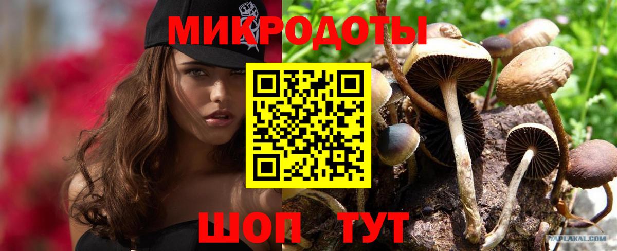 Новоуральск  Псилоцибиновые грибы прущие грибы  купить наркоту  Вход с VPN 